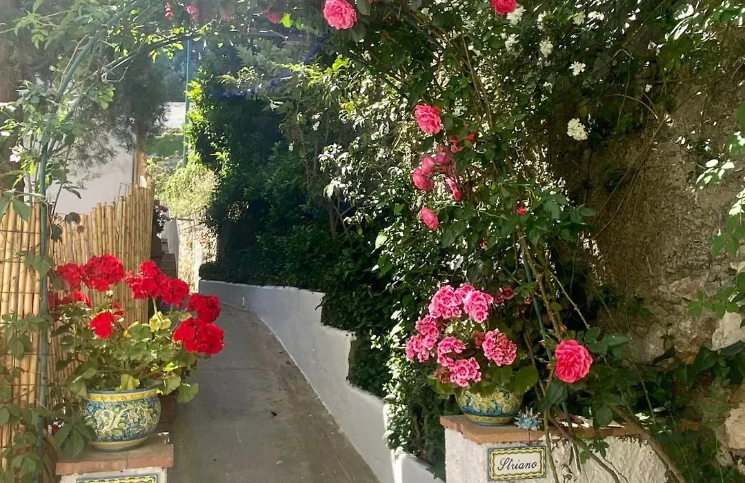 Villa Striano Boutique-1