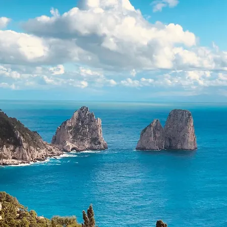 Villa Olga Luxury Capri-3